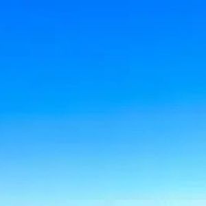 Meet your Posher, Shane